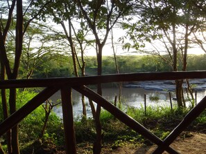 View from room
