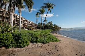 View of Condo from private beach