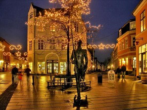 Exteriör