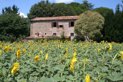 Picture of villa