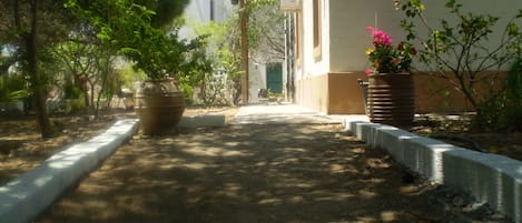 Path leading to main house with studio on side.