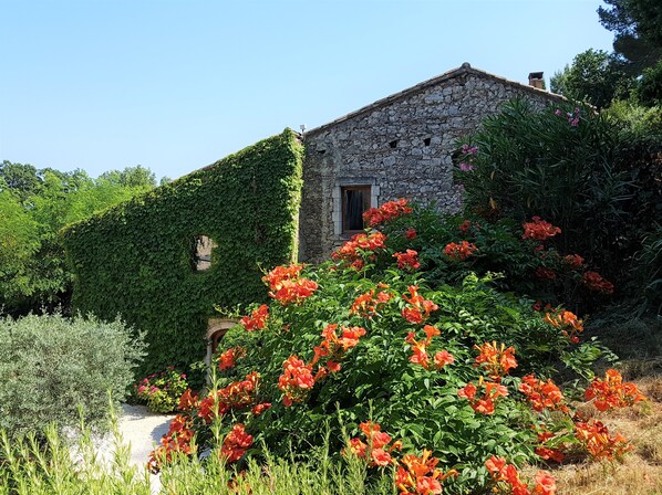 Jardines del alojamiento