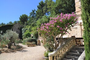 Jardines del alojamiento