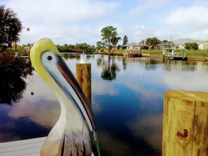 From our dock