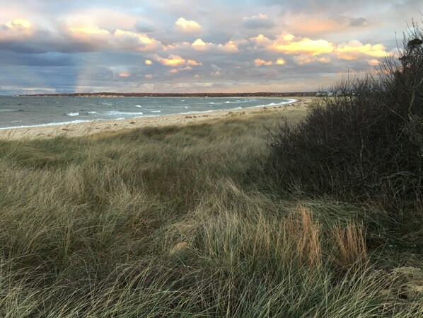 Sammy's Beach