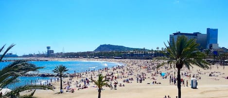 Playa