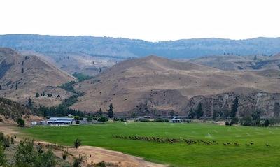 American Homestead Bunkhouse