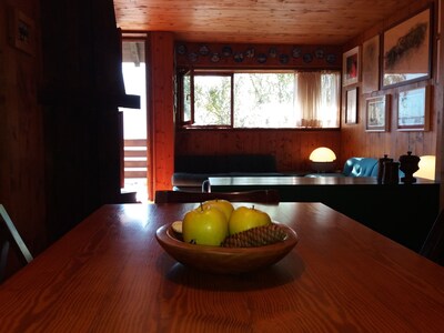 panoramic apartment on the ski slopes