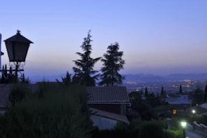Vue