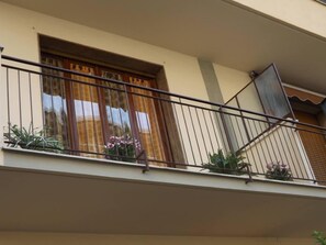 Terrace / Balcony