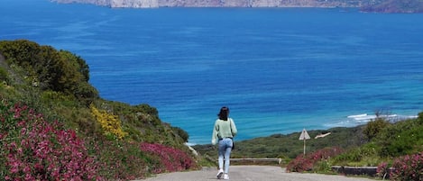 Εξωτερικός χώρος καταλύματος