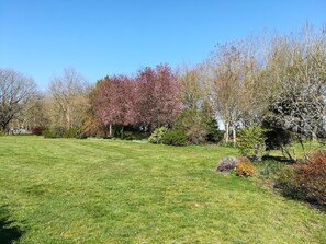 Boendeområde