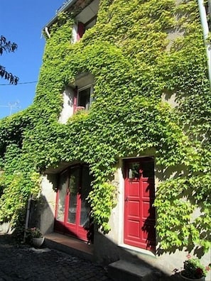 The red shutters and doors stand out on our street.