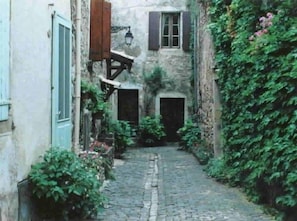 Our street -- charming cobblestoned street and many many flowers
