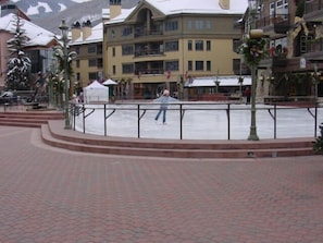 Village skating rink adjacent to property