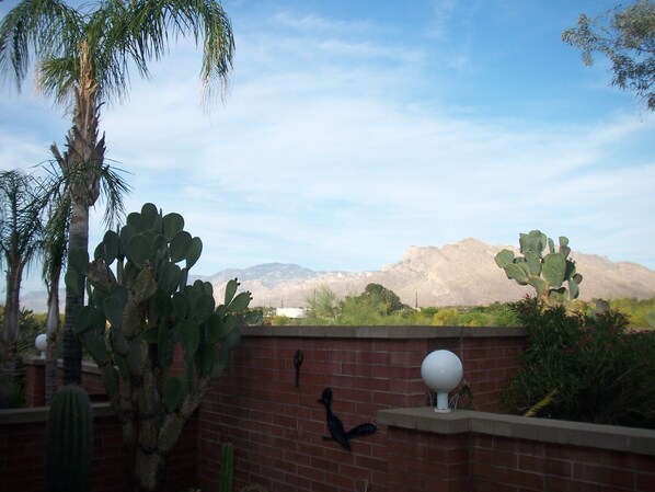 This is the view you take in from the patio.  Always spectacular!