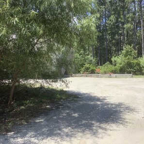 Nice and private, driveway view heading to your rental.