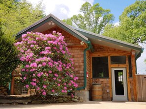 Front of house in the Spring. Parking area (in front and to left of house)