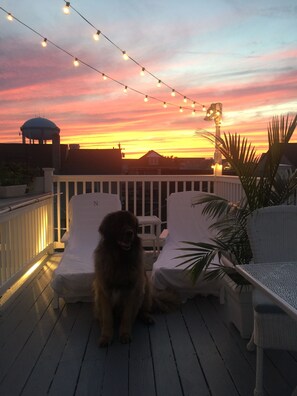 Rear view of deck, puppy not included!!!! Beautiful sunset.