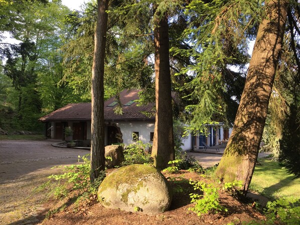 Exteriör