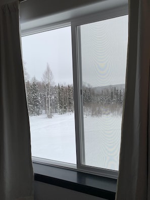 You can see the Aurora come over the mountain in the background from your bed.