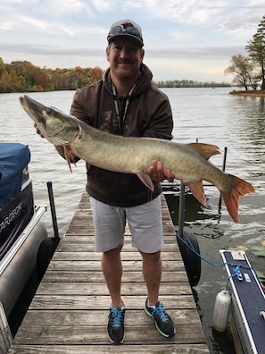 This muskie was caught in our bay by the host!