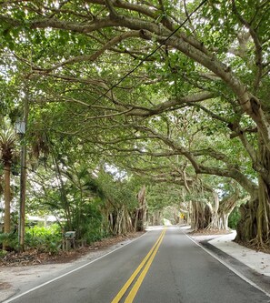 Nearby St. Lucie Blvd.