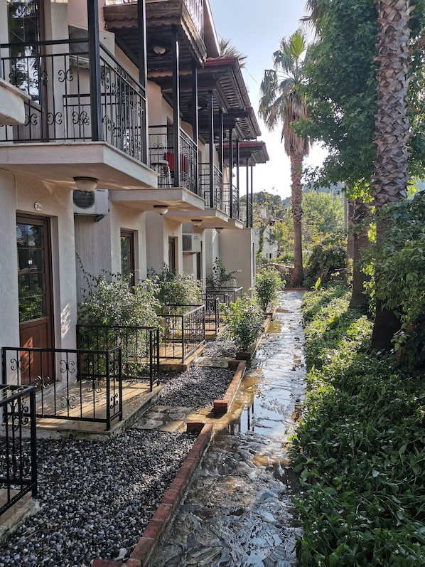 Giardino