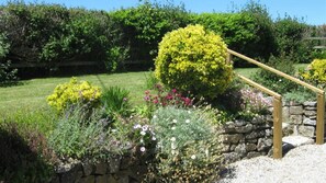Steps to the garden