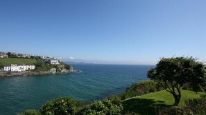 The View