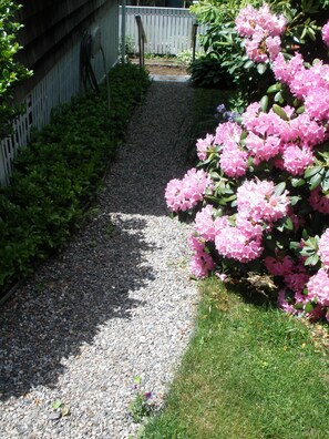 Pathway to your private entrance
