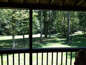 Looking into the yard from the front porch