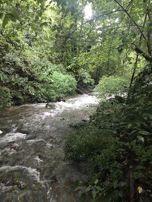 Another view of Harper's Creek on our property.