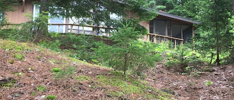 Looking towards the cottage from the dock. 