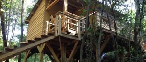 cabane au milieu des arbres