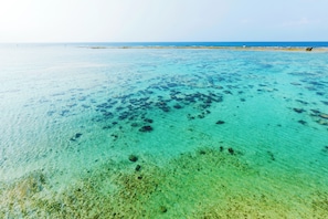 Spiaggia
