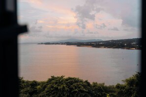Rum