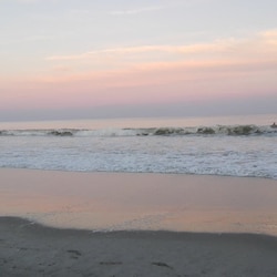 Beach is a two-minute walk from the Condo. There are many 🐚 shells.
