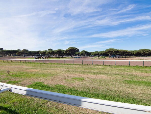 Sky, Daytime, Property, Natural Environment, Grass, Land Lot, Pasture, Fence, Tree, Real Estate