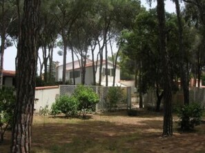Garden, Park