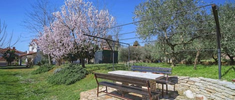 Proprietà, Albero, Paesaggio Naturale, Primavera, Tavolo, Immobiliare, Casa, Mobilia, Casa, Paesaggio