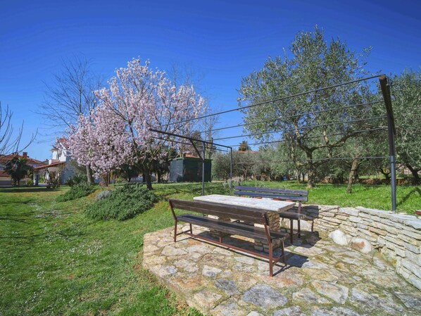 Eigentum, Baum, Natürliche Landschaft, Frühling, Tabelle, Grundeigentum, Haus, Möbel, Zuhause, Landschaft