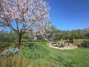 Baum, Frühling, Natürliche Landschaft, Blühen, Blume, Pflanze, Botanik, Grundeigentum, Gehölz