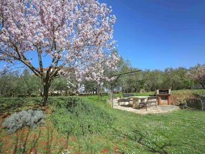 Baum, Frühling, Natürliche Landschaft, Blühen, Blume, Pflanze, Botanik, Grundeigentum, Gehölz