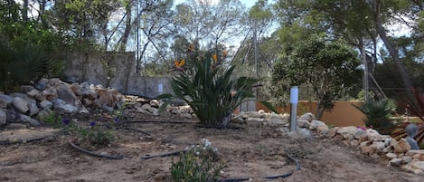 jardin méditerranéen