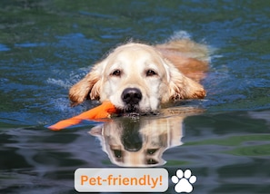 Pet-friendly