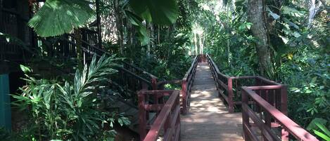 A tropical jungle wonderland awaits!!