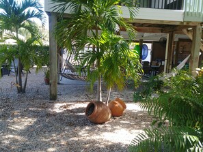El Palmar Caribbean Vibes (2)