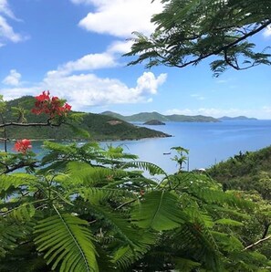 View from Your Balcony