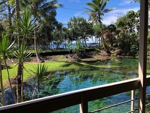 From the front lanai
